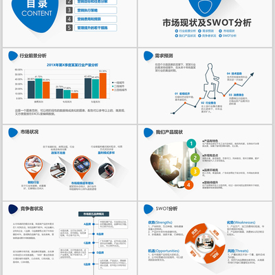 2020年蓝色市场营销策划方案