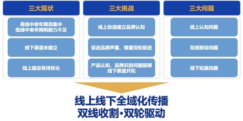 银发经济新蓝海 中老年羊奶粉市场年度精准营销策划全案