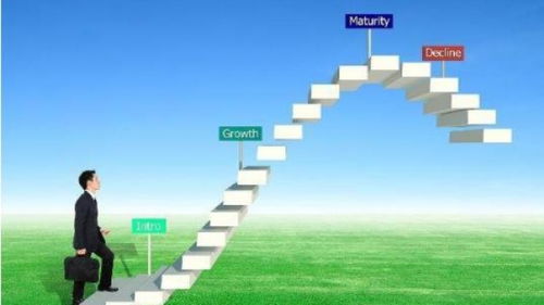 深圳品牌策划与营销 市场动态与专业机构的优势解析